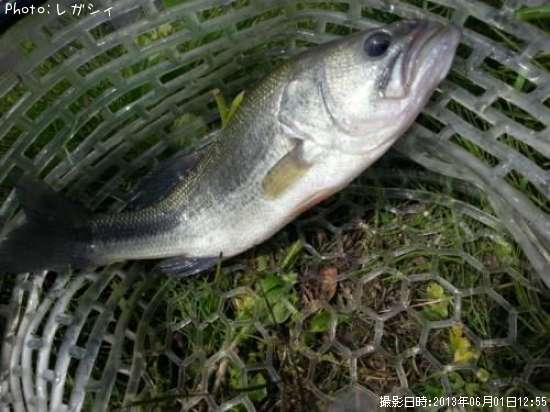 �֥�å��Х�