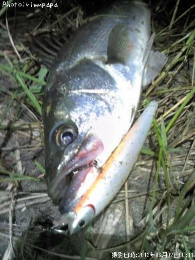 �����Х�