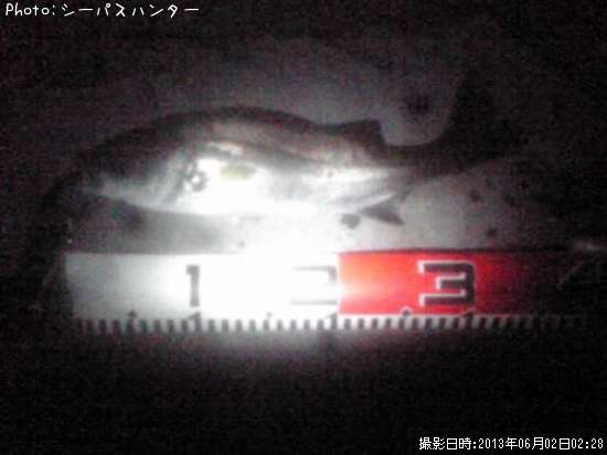 �����Х�