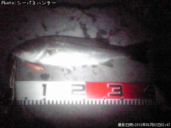 �����Х�