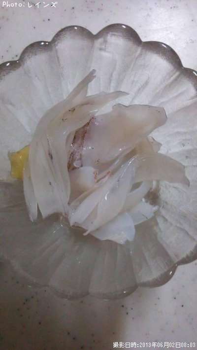 �����Υ�����ꥤ��