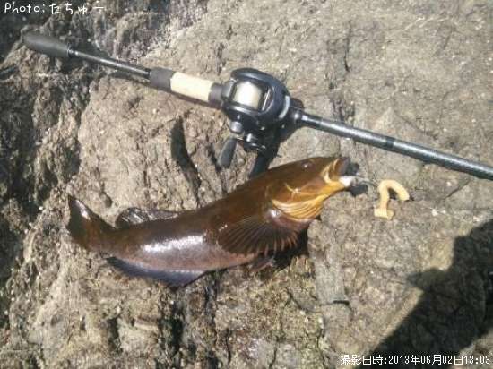 �����ʥ�