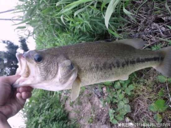 �֥�å��Х�