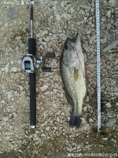 �֥�å��Х�