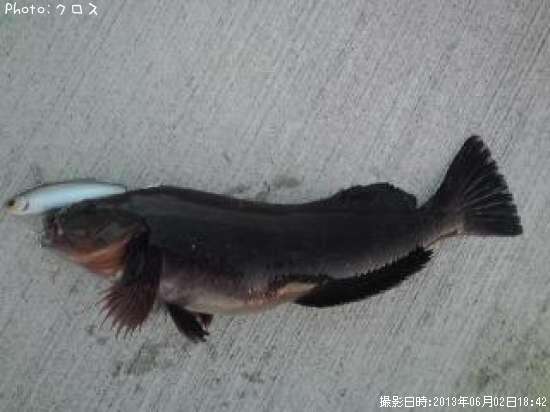 �����ʥ�