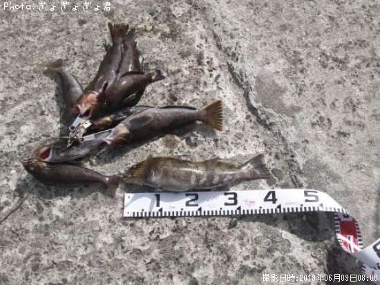 �����ʥ�ã