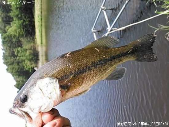 �֥�å��Х�