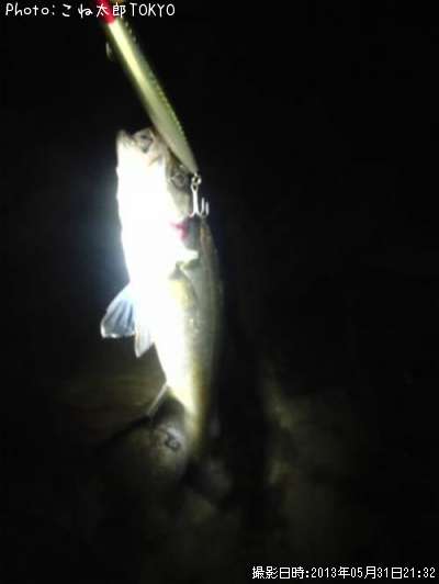 �����Х�