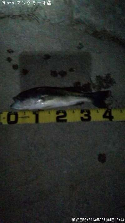 �֥�å��Х�