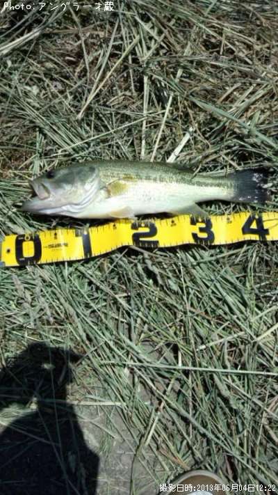 �֥�å��Х�