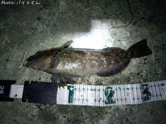 �����ʥ�