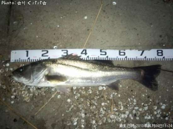 �����Х�