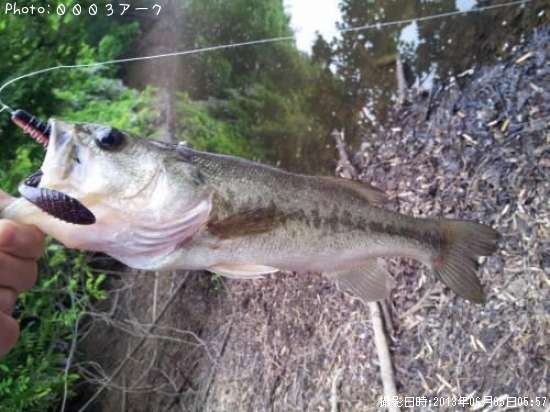 �֥�å��Х�