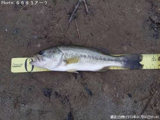 �֥�å��Х�