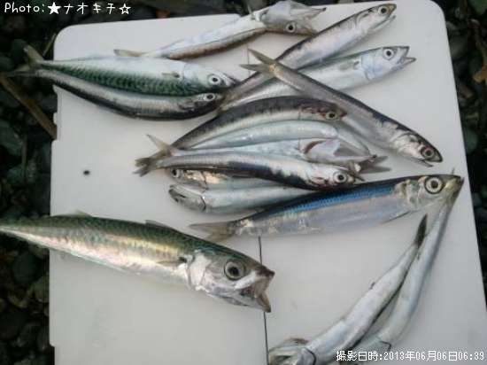 ���С����ޥ�������ᡢ��������