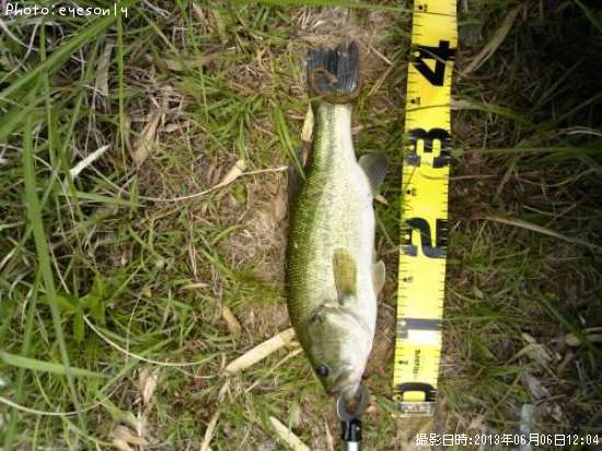 �֥�å��Х�