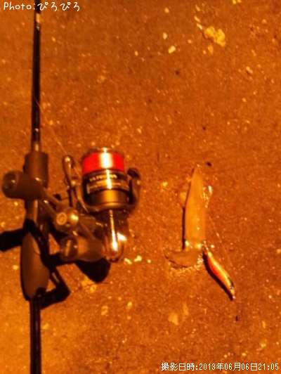 �ҥ�������ꥤ��