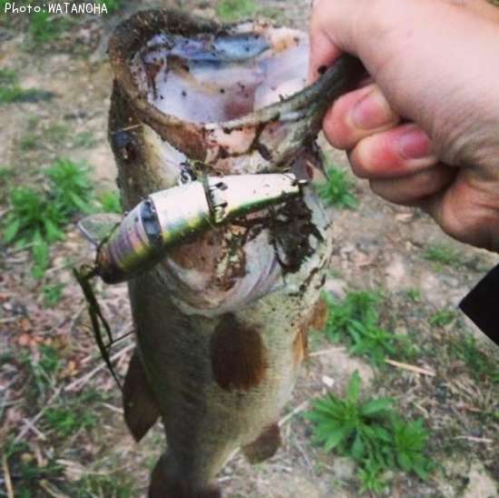 �֥�å��Х�