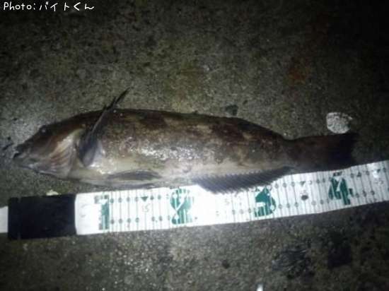 �����ʥ�