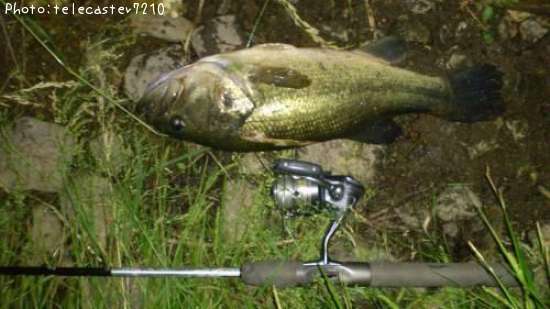 �֥�å��Х�