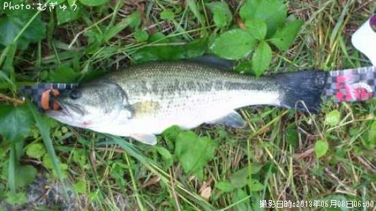 �֥�å��Х�