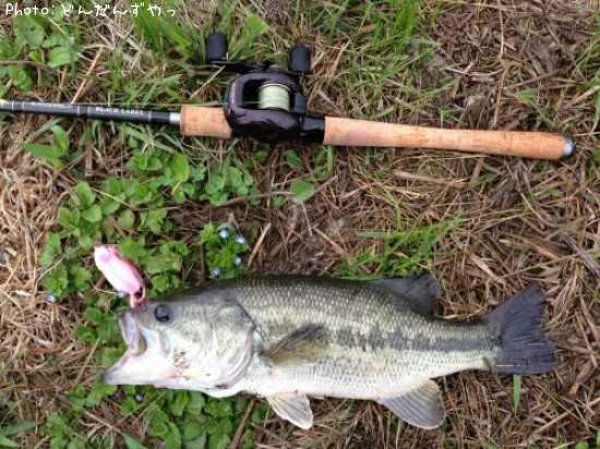 �֥�å��Х�