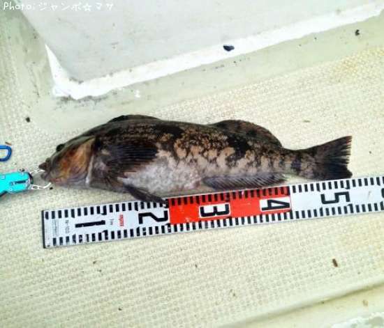 �����ʥ�