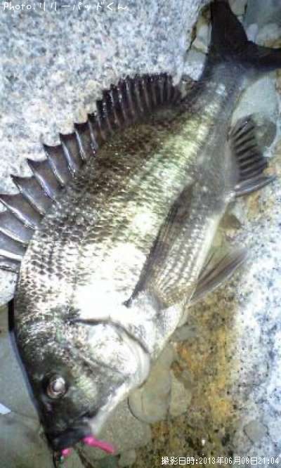 ���ε�����