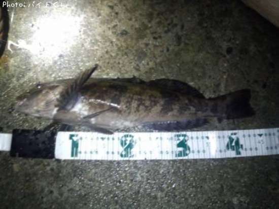 �����ʥ�