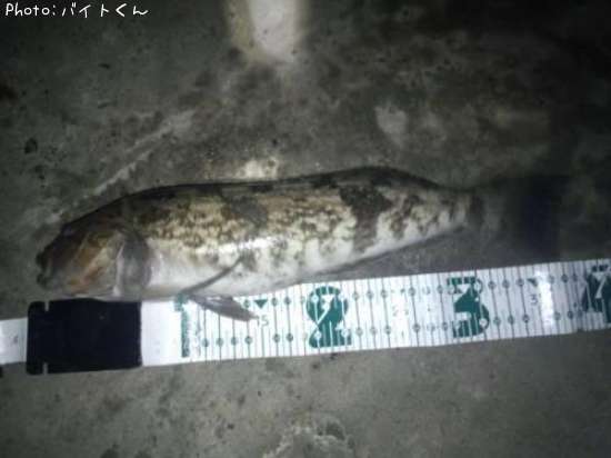 �����ʥ�