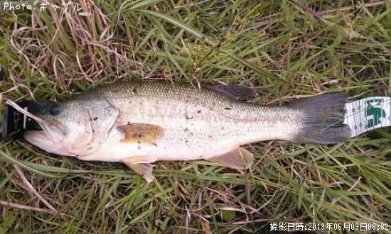 �֥�å��Х�