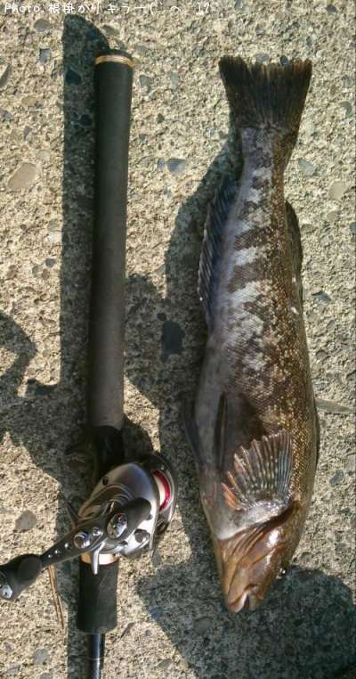 �����ʥ�