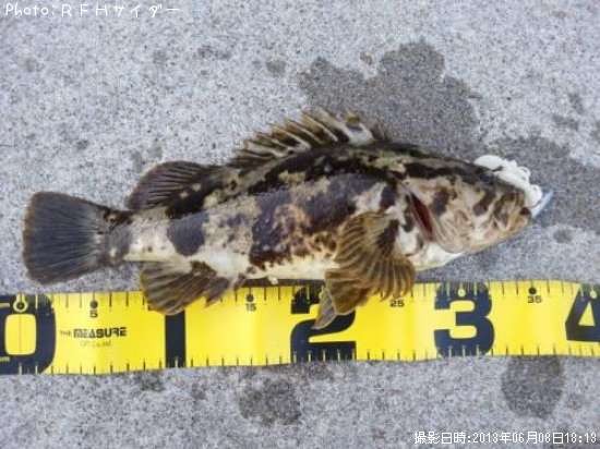 �����Υ���Х�