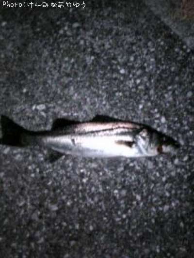 �����Х�