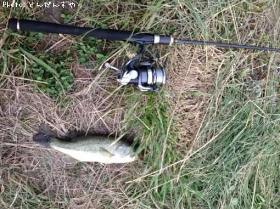 �֥�å��Х�