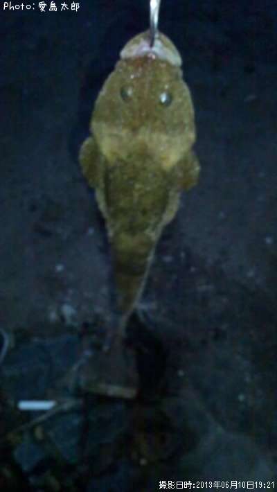 �ޥ���