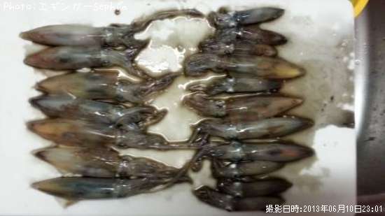 �ҥ�����������ꥤ��