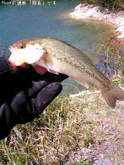 �֥�å��Х�