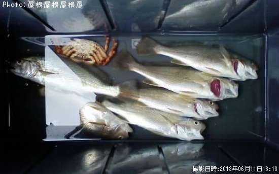 �������