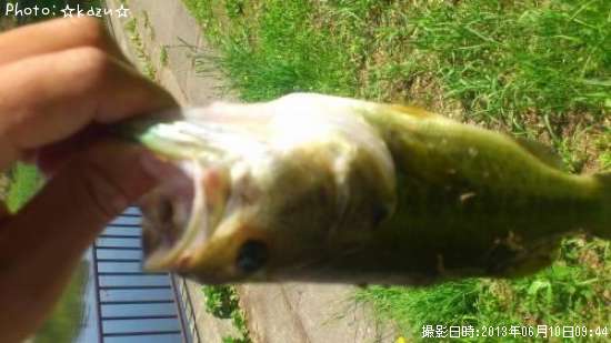 �֥�å��Х�