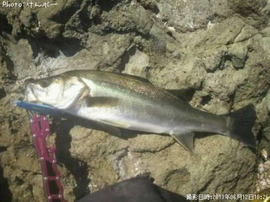 �����Х�