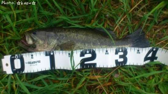 �֥�å��Х�