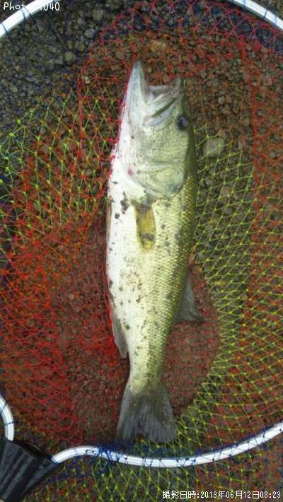 �֥�å��Х�