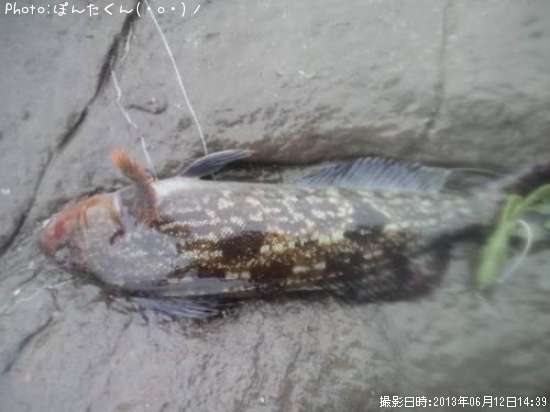 �����ʥ�