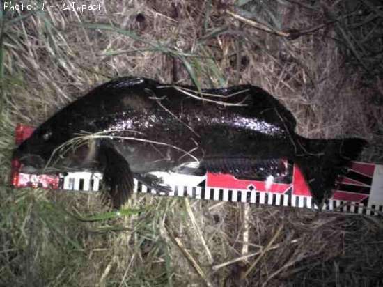 �����ʥ�