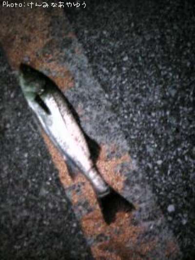 �����Х�