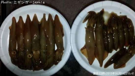 ��ꥤ�����ҥ���