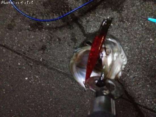 �����Х�