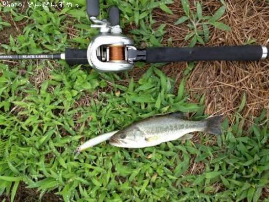 �֥�å��Х�