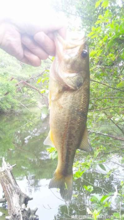 �֥�å��Х�